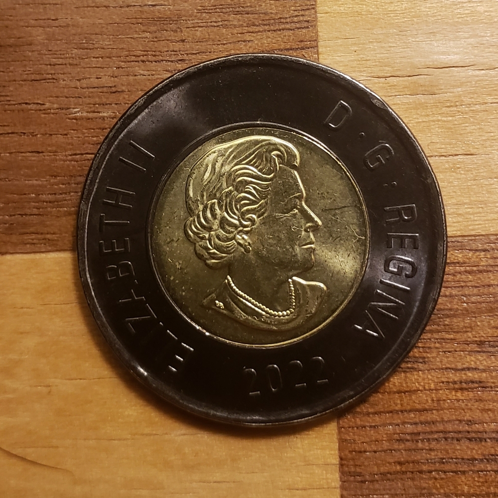 Rare Queen Elizabeth  memorial coin